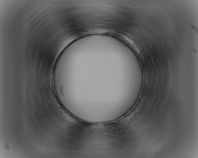 X0000091671186200709201213