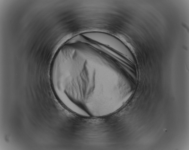 X0000091671189200709201213