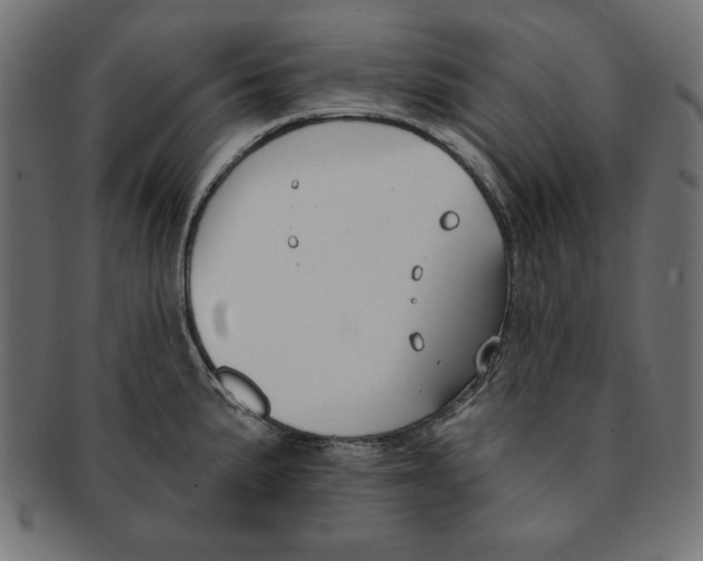 X0000091671191200709201213