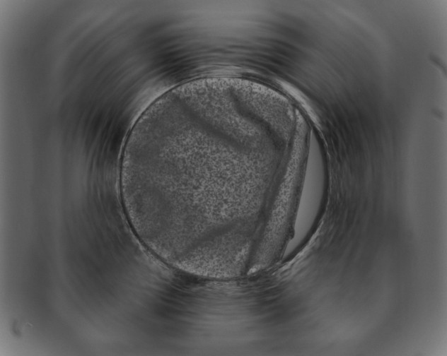 X0000091671194200709201213