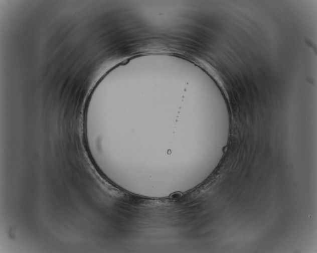 X0000091671195200709201213