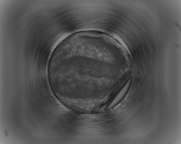 X0000091671197200709201213