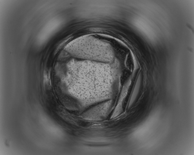 X0000091671198200709201213