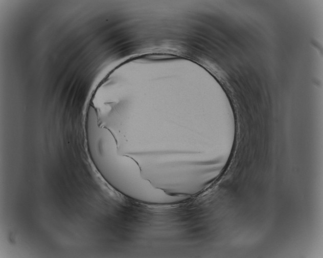 X0000091671200200709201213