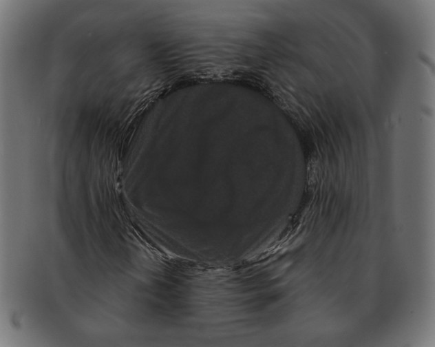 X0000091671202200709201212