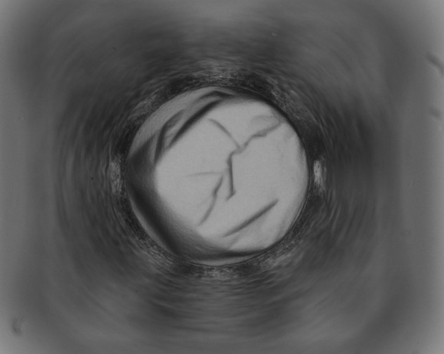 X0000091671203200709201212