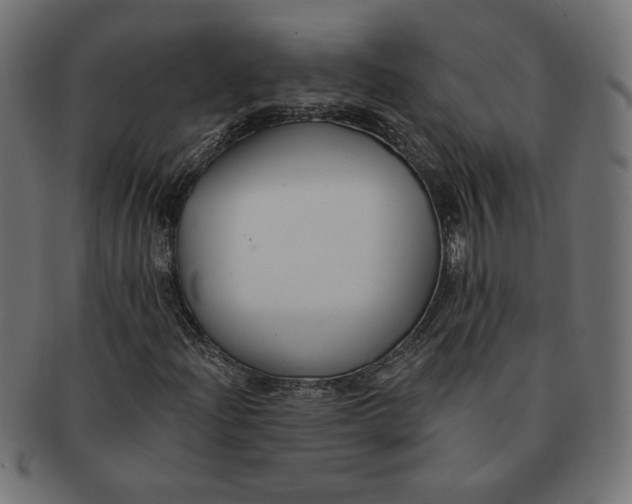 X0000091671204200709201212