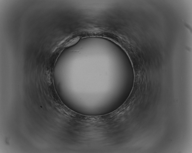 X0000091671205200709201213