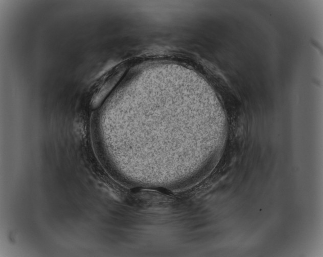 X0000091671206200709201213