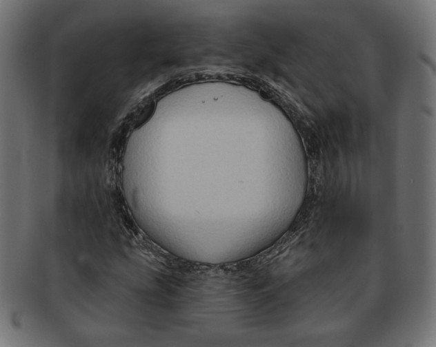 X0000091671207200709201213