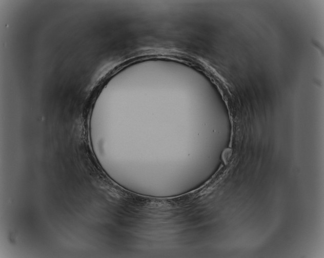 X0000091671215200709201213