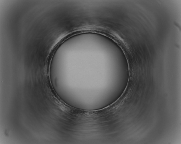 X0000091671216200709201213