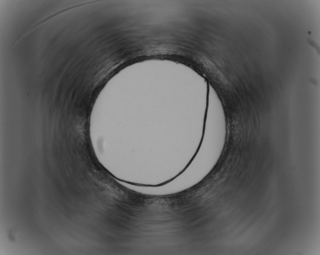 X0000091671217200709201213