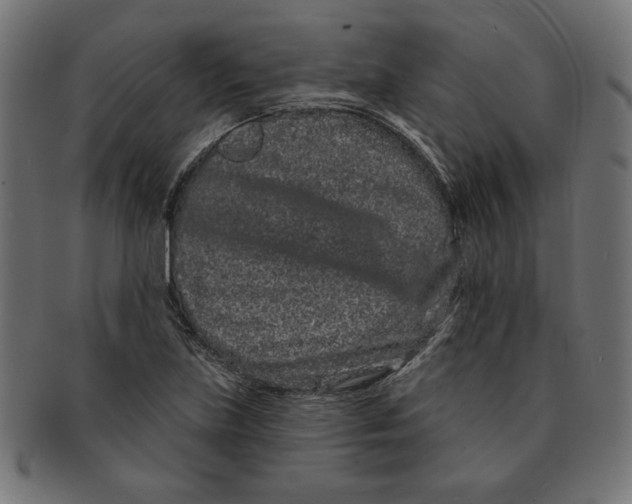 X0000091671219200709201213