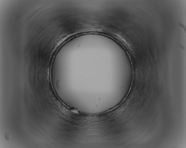 X0000091671220200709201213