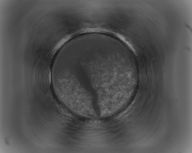 X0000091671221200709201213