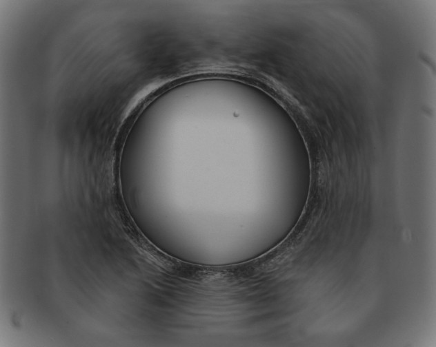 X0000091671222200709201213