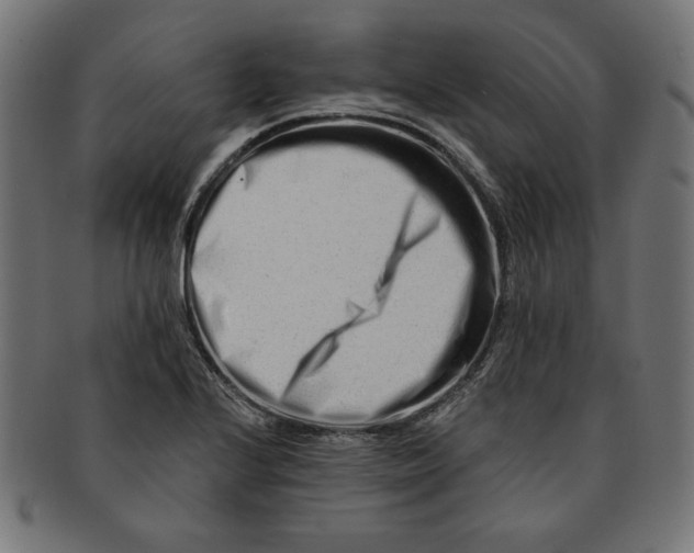 X0000091671224200709201213