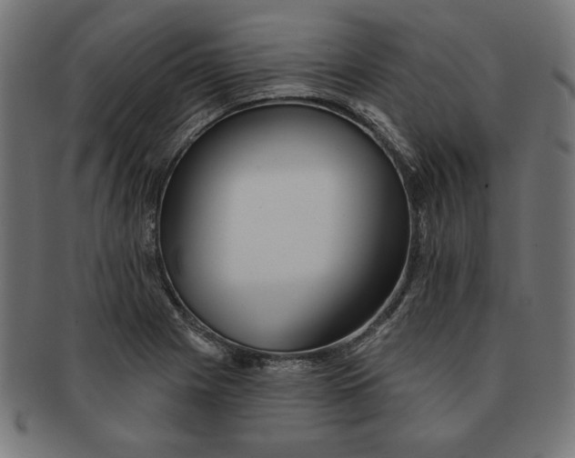 X0000091671225200709201213