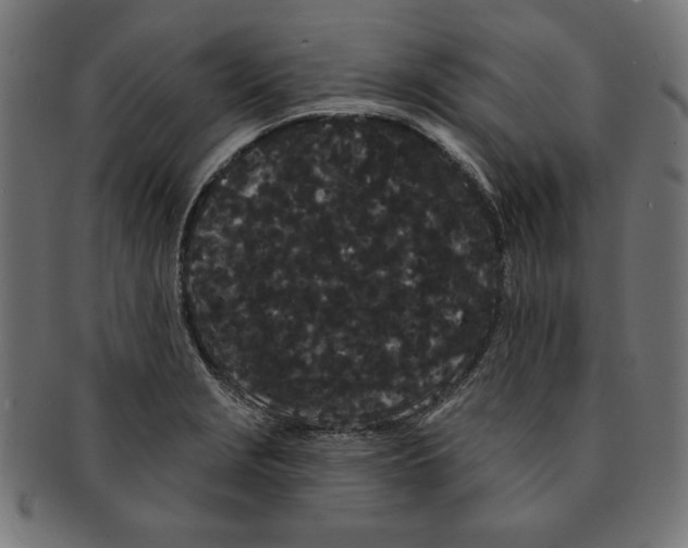 X0000091671229200709201213