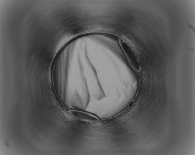 X0000091671230200709201213