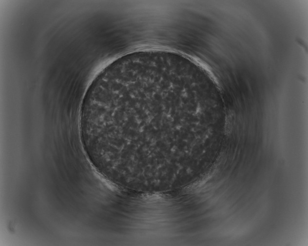 X0000091671231200709201213