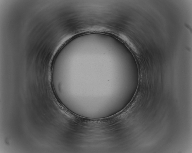 X0000091671232200709201213