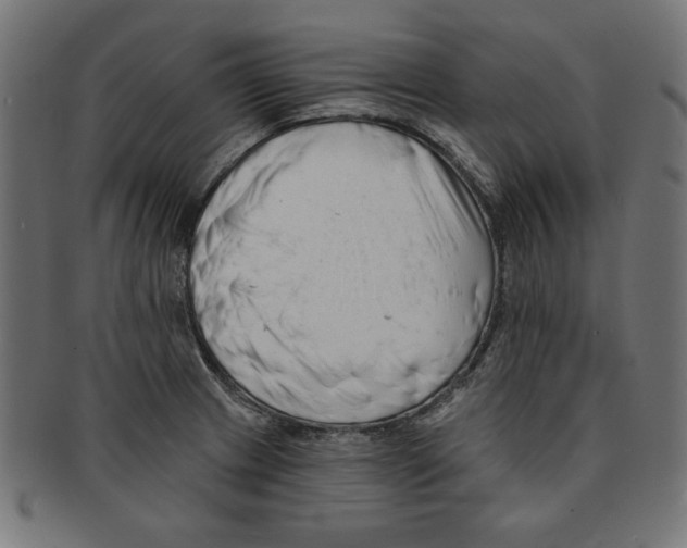 X0000091671233200709201213