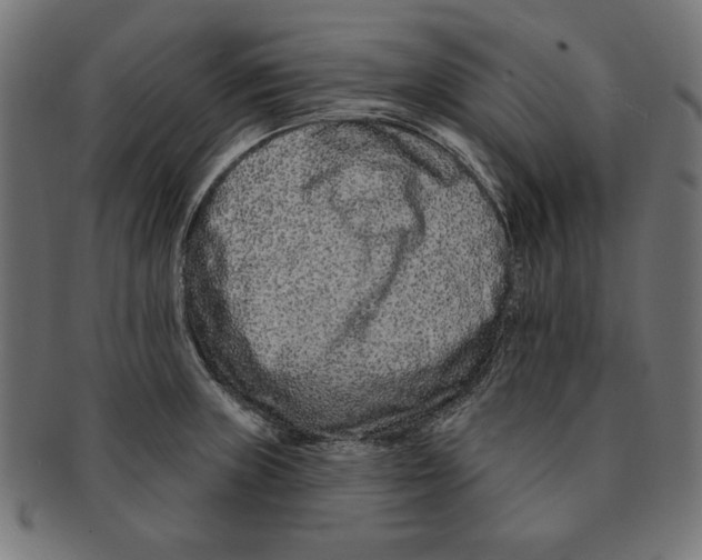 X0000091671235200709201213