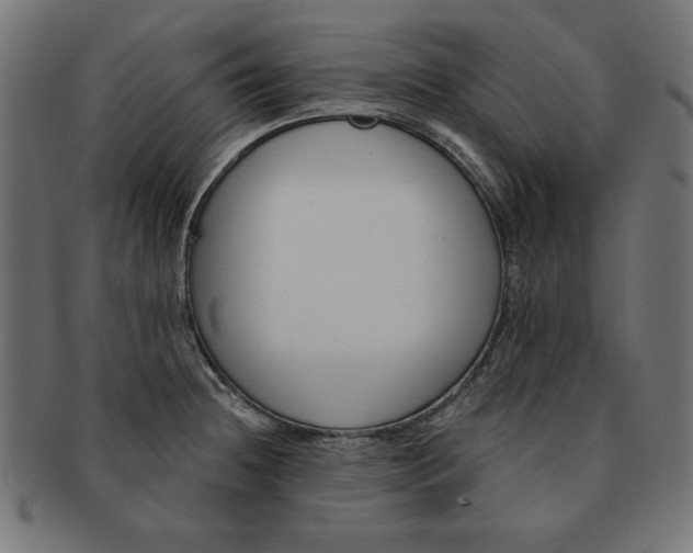 X0000091671236200709201213