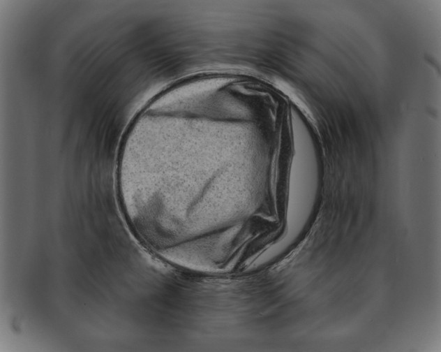 X0000091671237200709201213