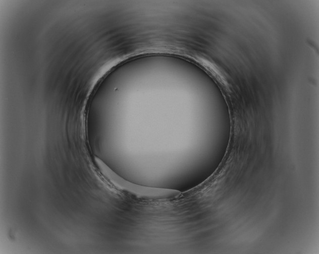 X0000091671238200709201213