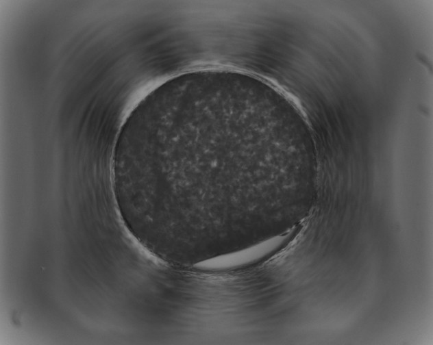 X0000091671239200709201213