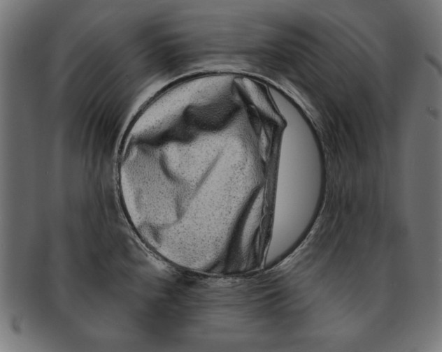 X0000091671240200709201213