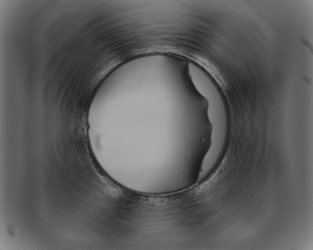 X0000091671241200709201213