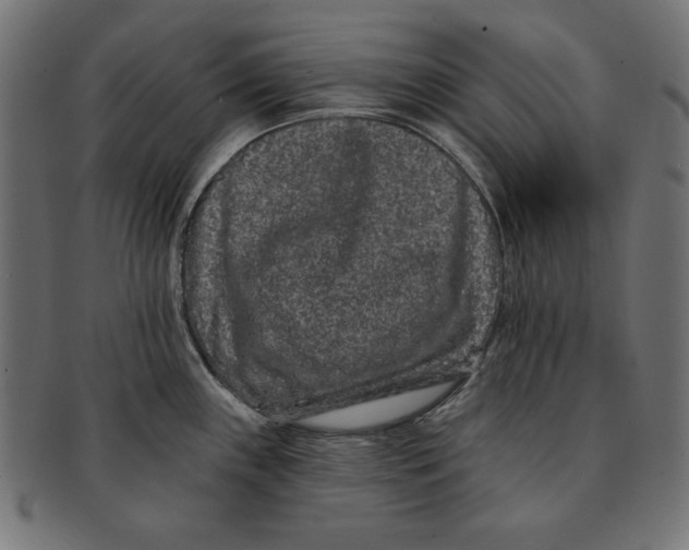 X0000091671243200709201213