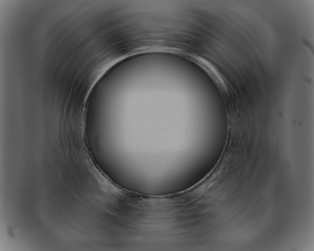 X0000091671244200709201213