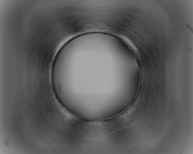 X0000091671246200709201213