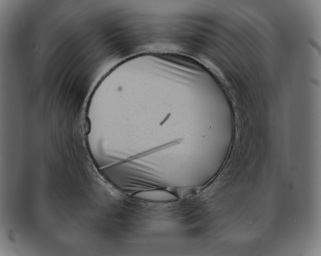 X0000091671248200709201213