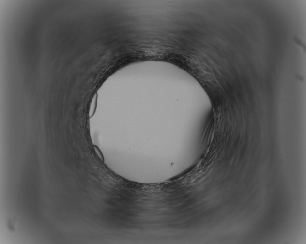 X0000091671249200709201212