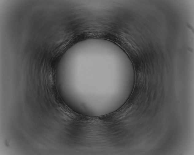 X0000091671250200709201212