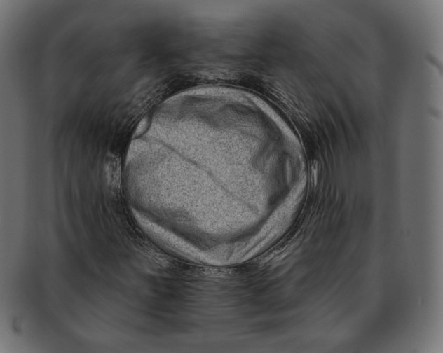 X0000091671251200709201212