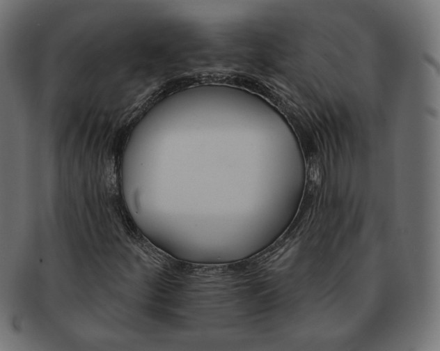 X0000091671252200709201212