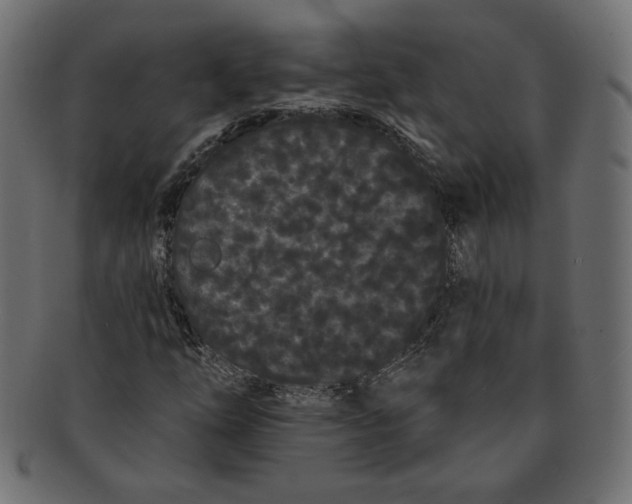 X0000091671254200709201212