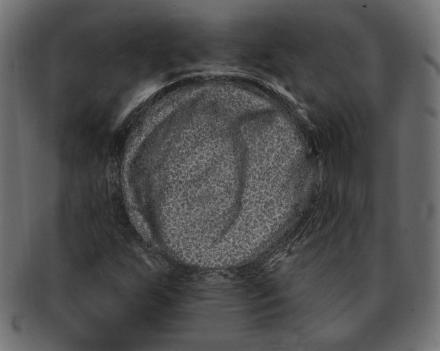 X0000091671255200709201212