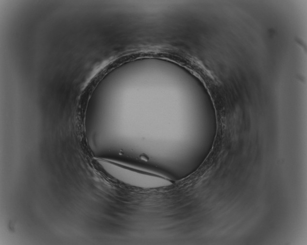 X0000091671256200709201212