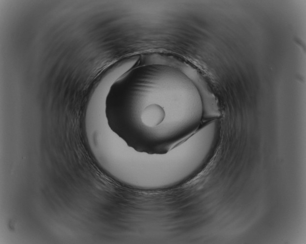 X0000091671257200709201212