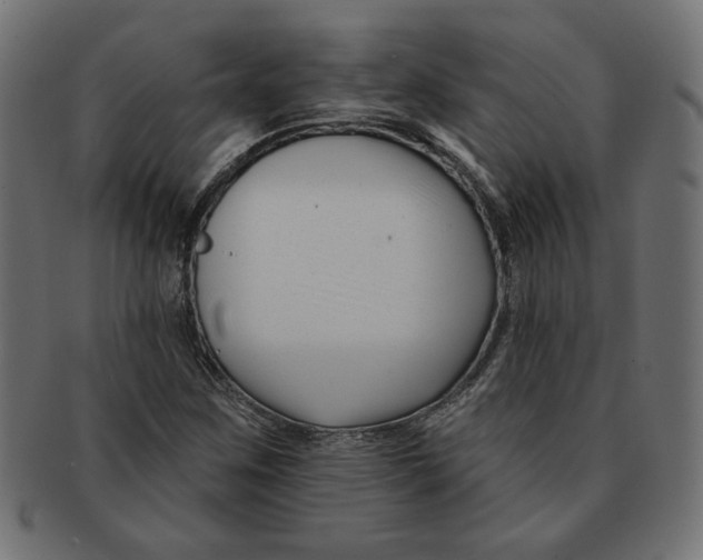 X0000091671259200709201212