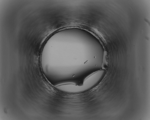 X0000091671260200709201212