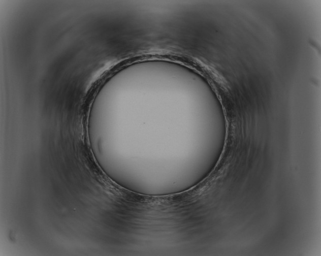 X0000091671262200709201212